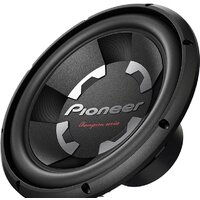 Pioneer TS-300D4
