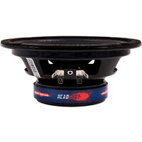 KICX Headshot DPL65 Image #5