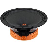 DL Audio Raven 200 v2 Image #1